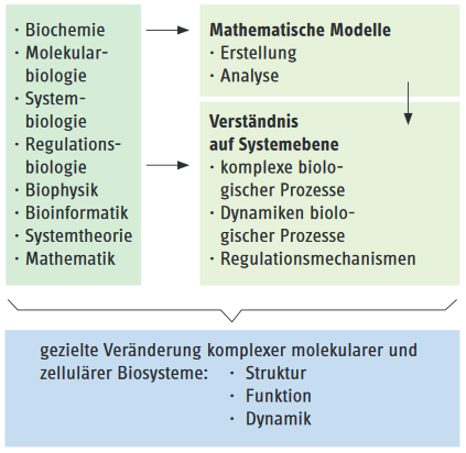 form1