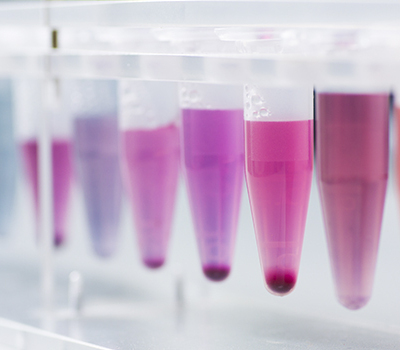 Biologie