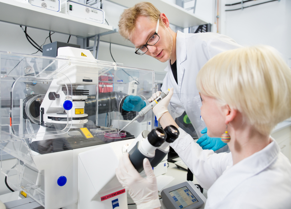 Master Molekulare Biosysteme
